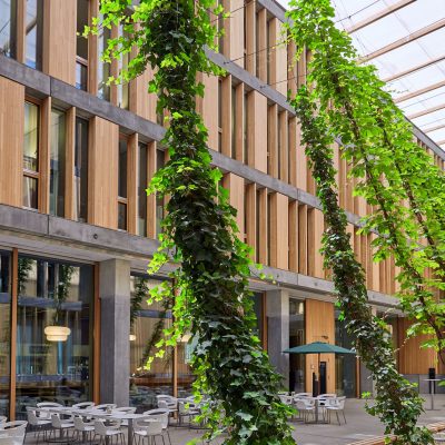 Jakob-Rope-Systems-GreenSolutions (16)