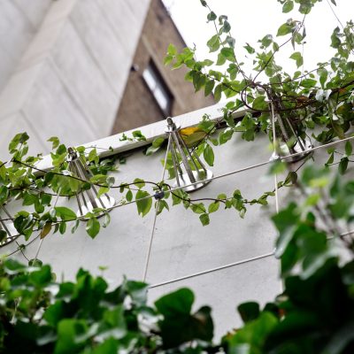 Jakob-Rope-Systems-GreenSolutions (18)