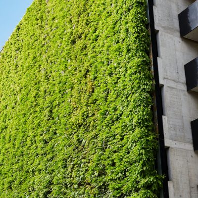 Jakob-Rope-Systems-GreenSolutions (2)