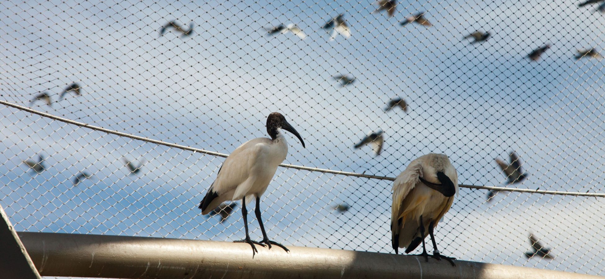 Jakob-Rope-Systems-Zoo-16-scaled